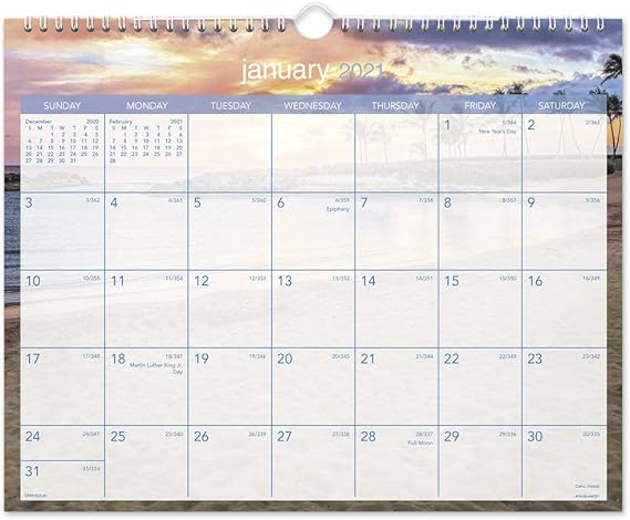 taget com topical escapes 2021 wall calendar Amazon Com 2021 Wall Calendar By At A Glance 15 X 12 Medium Monthly Tropical Escape Dmwte82821 Office Products taget com topical escapes 2021 wall calendar