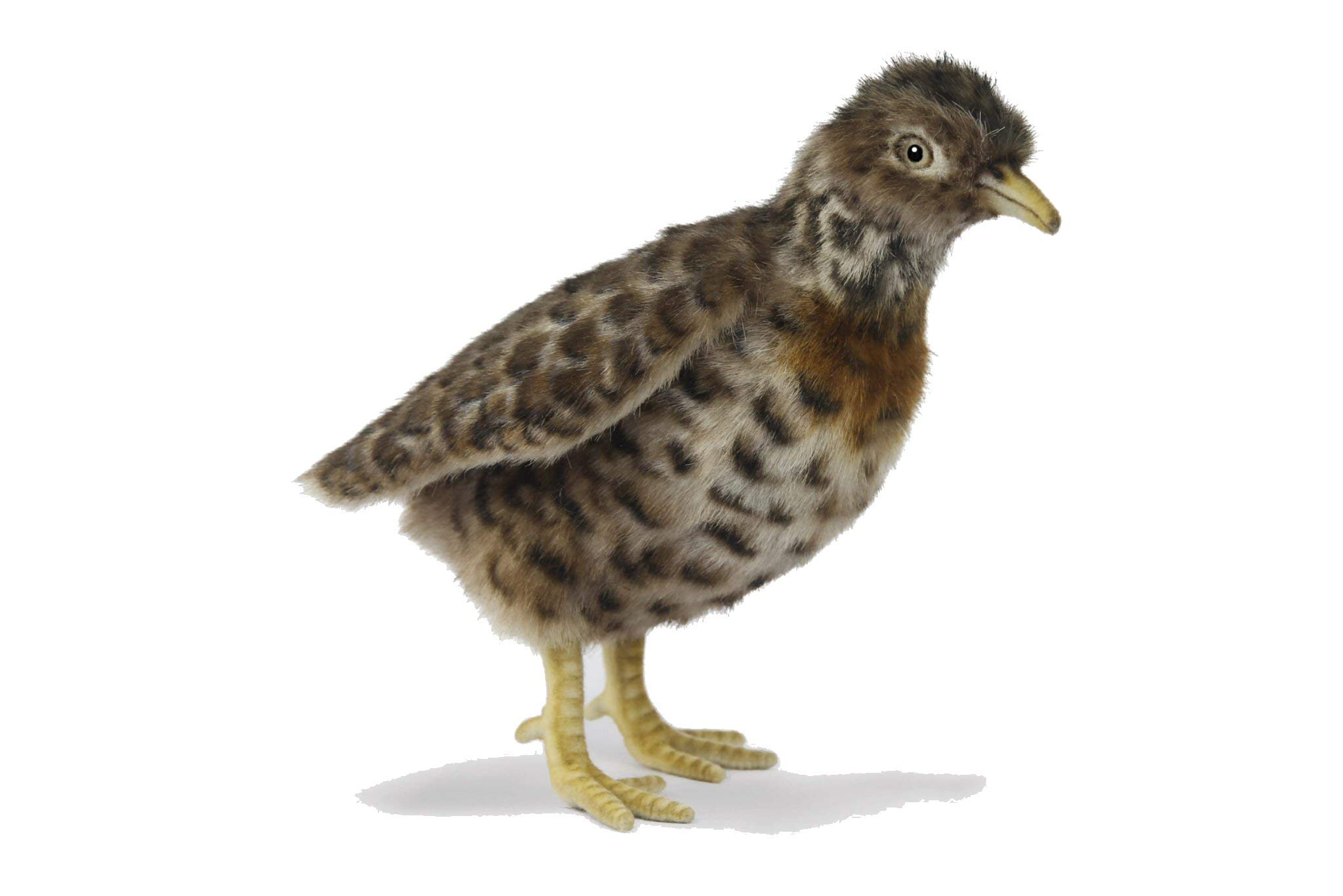 Hansa 7477 Plains Wanderer Plush Soft Toy