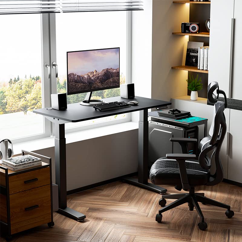 EUREKA ERGONOMIC Standing Desk Dual Motors, 48 x 24 Inches Electric