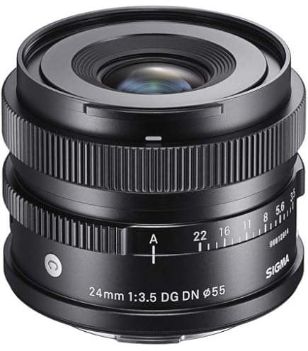 Amazon.com : Sigma 24mm F3.5 DG DN for Sony E Mount : Electronics