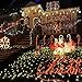 Albrillo Copper String Lights Color Changing 100 LEDs 33ft with Power Adapter, UL Listed