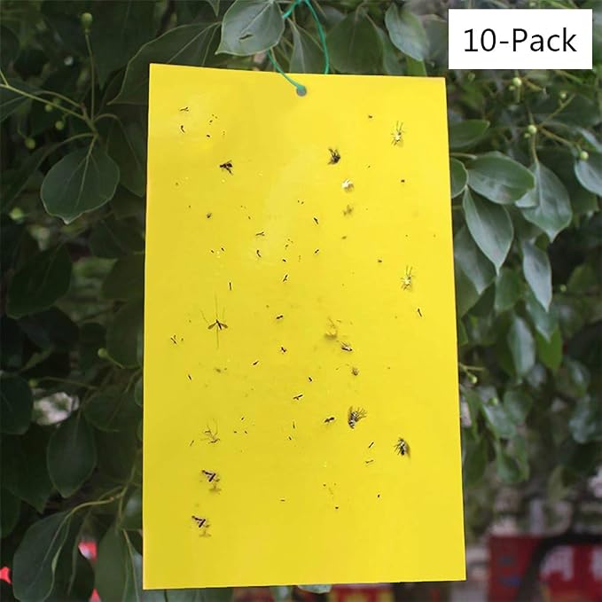 DAYOLY - Trampas Adhesivas de Doble Cara Amarillas para Insectos ...