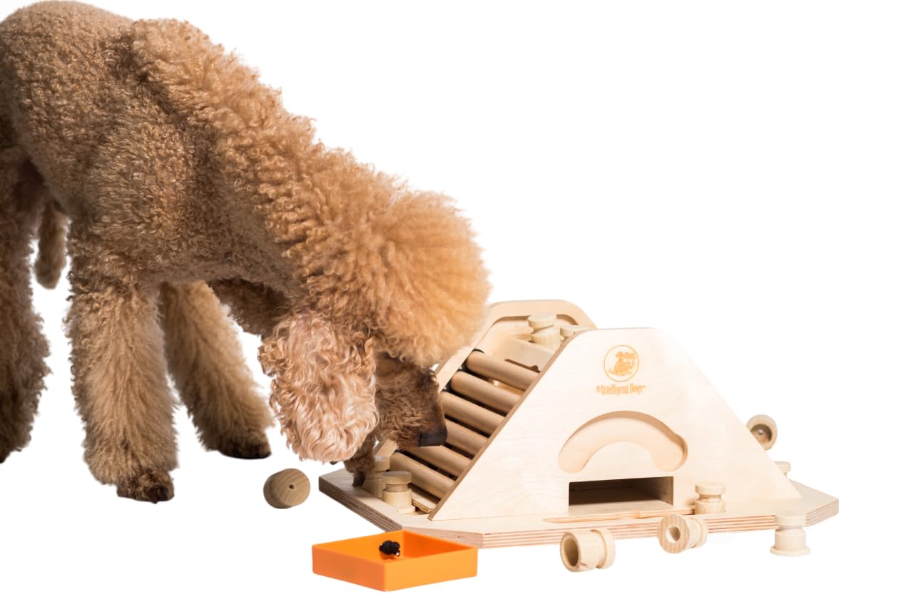 My Intelligent Dogs Interactive Dog Toy Intelligence - Intelligence Toy for Dogs - Interactive Toy Dog - Thinking Games for Dogs - Pyramid