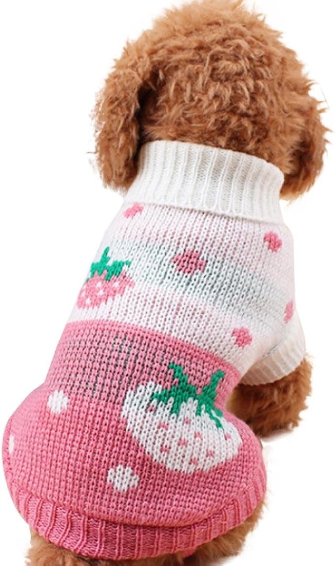 puppy winter clothes