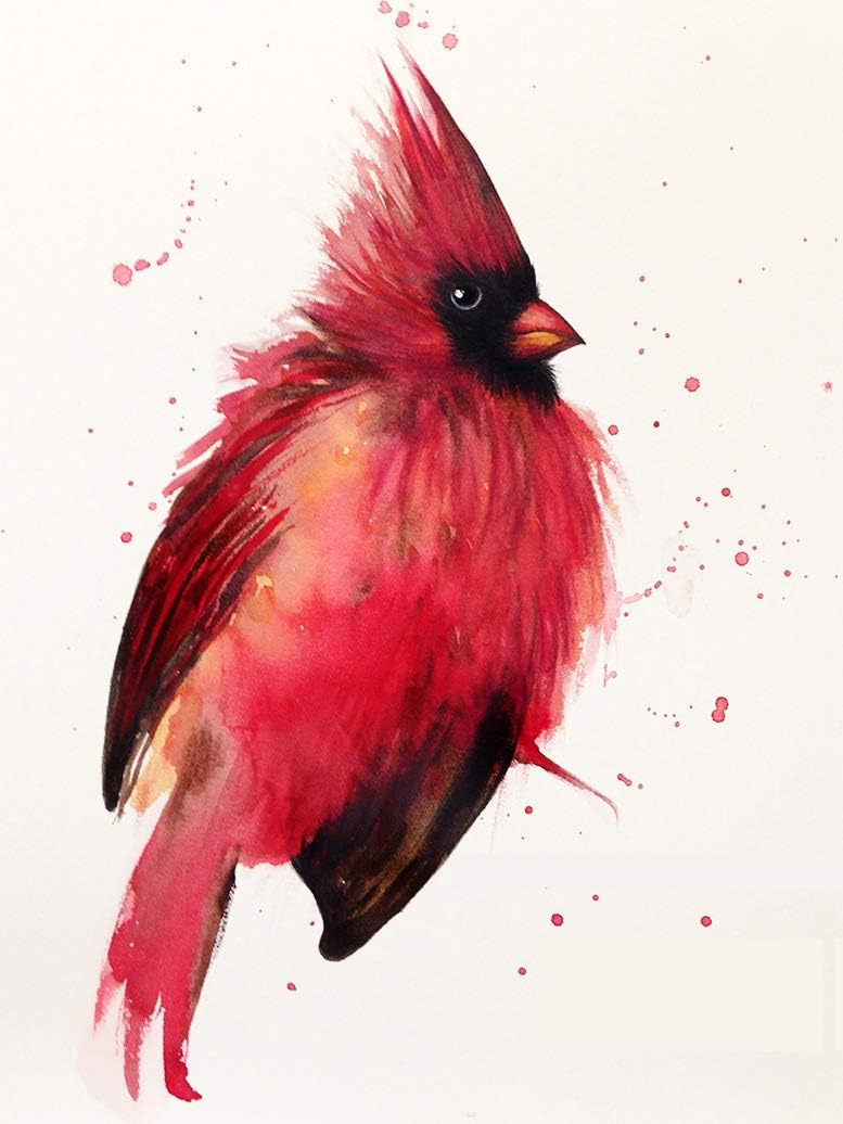Amazon.com: 5D Diamond Painting Full Diamond American Cardinals Birds