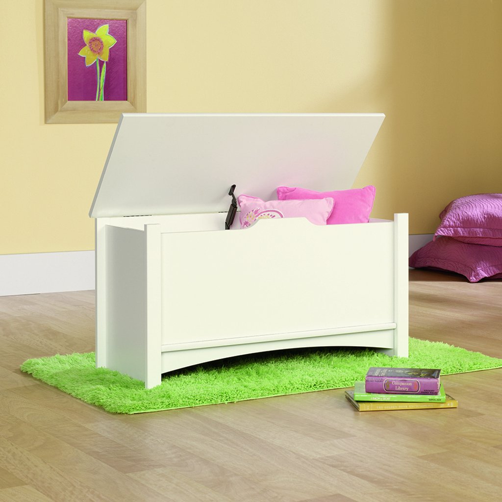 Sauder Shoal Creek Storage Chest, Soft White finish: Furniture & Decor