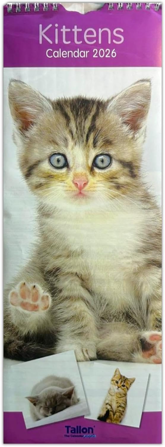 Orbitron 2026 Slim Month To View Spiral Bound Photo Wall Calendar Puppies Kittens Flowers Wildlife (Kittens)