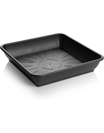 Platillos para plantas | Amazon.es
