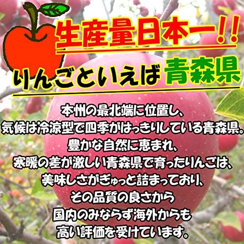 Amazon りんご 3kg箱 ふじ ご家庭用訳あり 青森 3キロ箱 林檎 青森期待の新人商店 りんご 通販