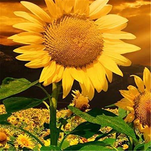 Mazixun 5D DIY Diamond Painting Sunflower Flowers Square Diamond Painting Needlework Rhinestone Pasted Cross Stitch Gift
