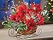 Collections Etc Fiber Optic Poinsettia Sleigh Centerpiece