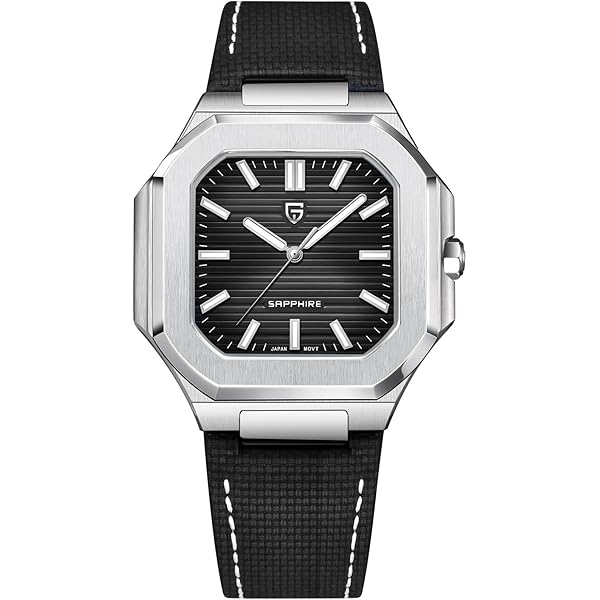 Amazon.com: Pagani Design Fashion Men's 42mm Quartz Stainless