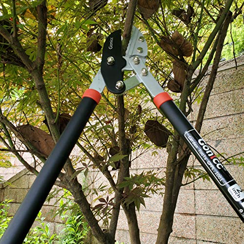 gonicc Professional 30 inch SK5 Steel Blade Anvil Lopper, 2Inch