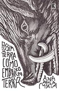 Livro Assim na terra como embaixo da terra