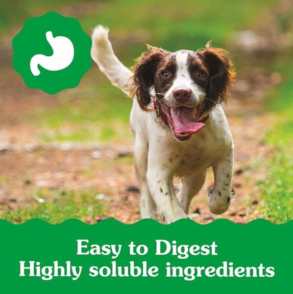 GREENIES PUPPY REGULAR SIZE DENTAL DOG TREATS, 12 OZ. PACK (12 TREATS)