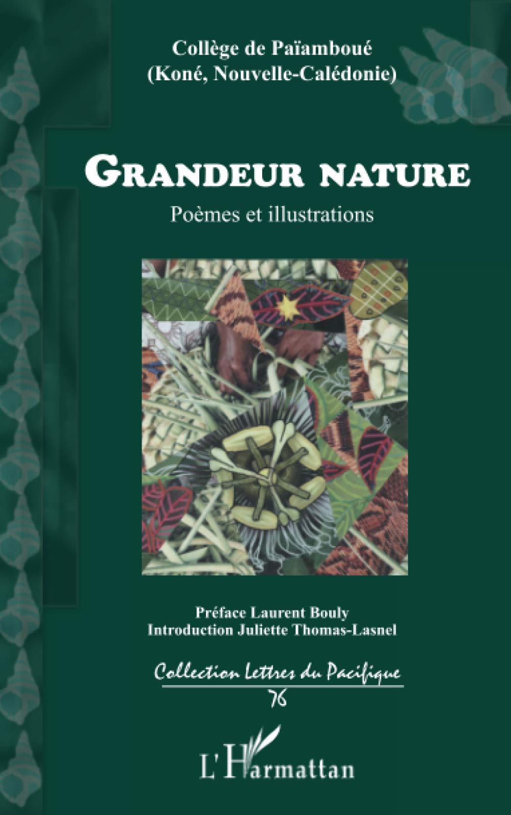 Grandeur Nature Poemes Et Illustrations Lettres Du Pacifique French Edition Thomas Lasnel Juliette Amazon Com Books