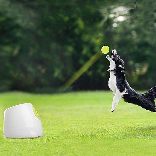 dog toy that throws tennis balls
