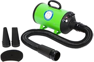 FLYING PIG GROOMING Flying Pig High Velocity Dog Pet Grooming Dryer w/Heater (Model: Flying One, Green)