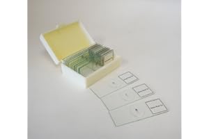 LABSTOCK Prepared Slide, Plant Mitosis, Classpack of 15 Sides