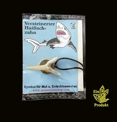 Haizahn - Anhänger, echter versteinerter Haizahn mit Band (3x5cm mit Tüte) AH5