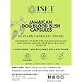 Iset By Nature Jamaican Dog Blood Bush Capsules 1400mg - Fertility Supplements for Women to Support Hormone Balance & Conception, PCOS Relief with Organic Jamaican Dog Blood Herb - 60 Capsules, Vegan