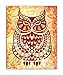 8x10 OWLS theme wall decor posters for room wall decoration. Set of 4 UNFRAMED owl poster prints. Made in USA.