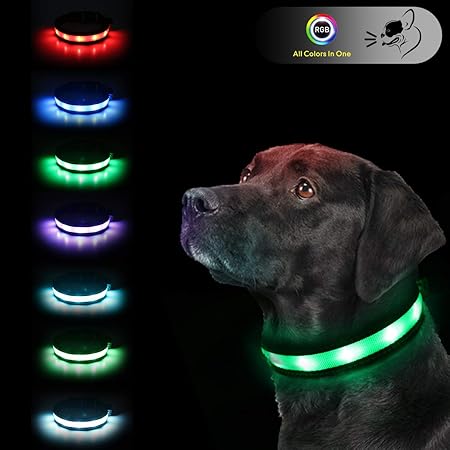 dog collars that light up at night