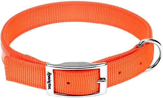 dog collars orange
