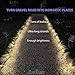 Homestarry Solar Rope String Lights, 300 LED 100 FT Outdoor Solar Powered Firefly Lights with Remote, IP67 Waterproof Silver Wire Solar Fairy Lights for Patio, Garden, Home(Warm White)