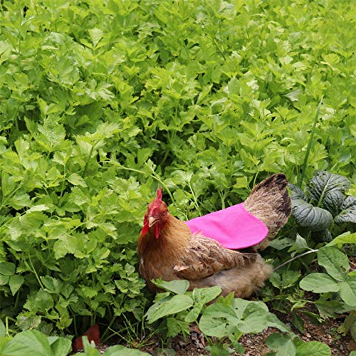 Sommer's Laden Haustier Schürze Chicken Saddle Hen Schürze Hühnersattel Geflügel Henne Sattel Schürze Federschutzhalter… – Bild 6