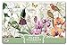 Michel Design Works 25-Count Paper Placemats, Orchids in Bloom