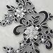 1 Pair Fine Lace Fabric Patches Embroidered Trim Applique Decor Dress Decoration (Black +Silver)