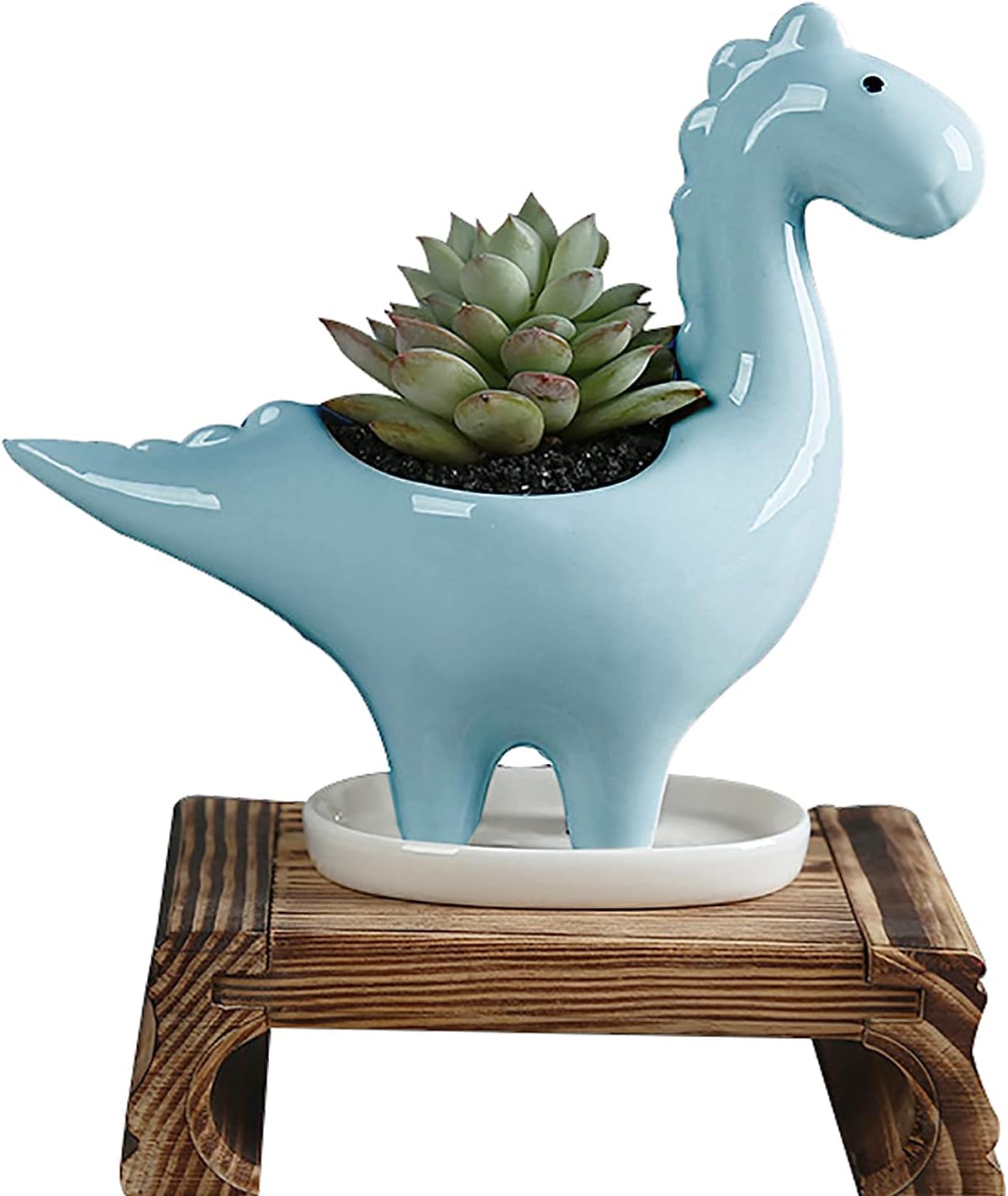 Succulent Ceramic Dinosaur Planter Pots, 7 Inch Height Animal Plant