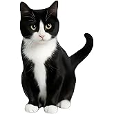 Waterproof Vinyl 5.5 Inch cat Sticker, Car Stickers, car Decals, Bumper Stickers, Decals for Vehicles, 2-Pack, Easy to Apply & Remove, for Car, Laptop, Door, Wall Decoration