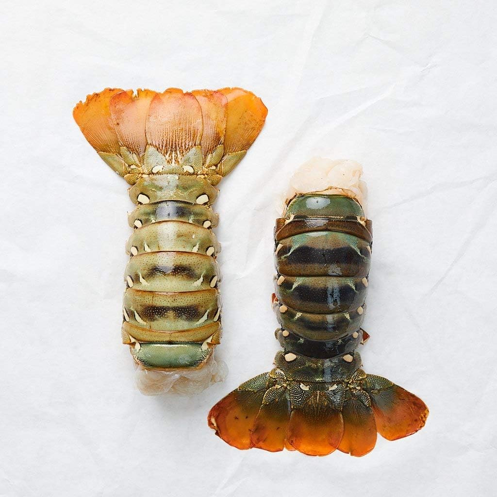 Northern Australian Lobster Tails (12/14 oz. per tail)(4 Tail) - Overnight Shipping Monday-Thursday