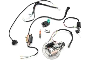 Newnessai Kick Starter Engine Wiring Harness Kit, Replacement for X50 CRF50 70cc 110cc 125cc 140cc 150cc Pit Dirt Trail Pro Bike, Replacement for YX Replacement for Lifan