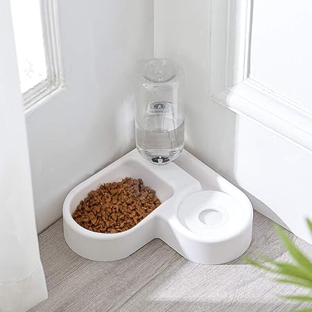 water bowl dispenser