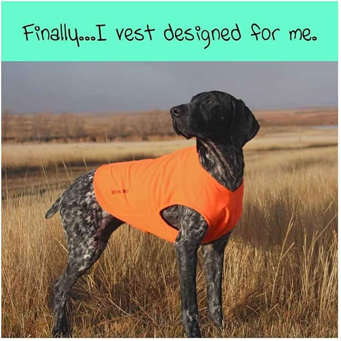 blaze orange neoprene dog vest