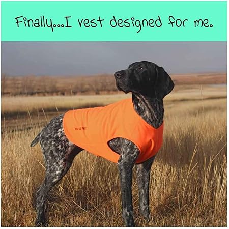 german shorthair hunting vest
