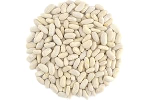 BALTORO FOODS Organic Great Northern Beans ,Raw, non GMO, Vegan, Bulk (7LB)