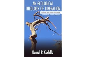 An Ecological Theology of Liberation: Salvation and Political Ecology (Ecology and Justice)