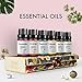 USDA Organic Essential Oils (Set of 6 10 ml) Natural Aromatherapy for Diffuser | Therapeutic Stress Relief & Relaxation Mothers Day Gift Set | Lavender Peppermint Tea Tree Lemon Orange Eucalyptus