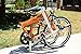Allen Sports Aluminum 7 Speed Folding Bicycle, Sedona, 12-Inch/One Size