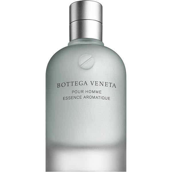 Amazon.com: Bottega Veneta Pour Homme Eau De 香水噴霧50 毫升/1.7
