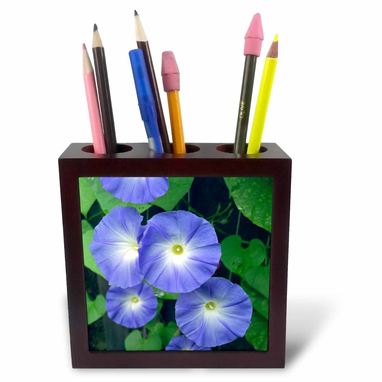 3dRose ph_228266_1 5-Inch "Morning Glory Flowers" Tile Pen Holder