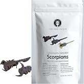 Thailand Unique Chocolate Covered Armor Tail Scorpions, 2 Pieces, 15g | Real Arachnid Bugs Cloaked in Rich Dark Cocoa, Exotic Candy That Dares. Dehydrated Edible Insects, Gag Gift, Humans