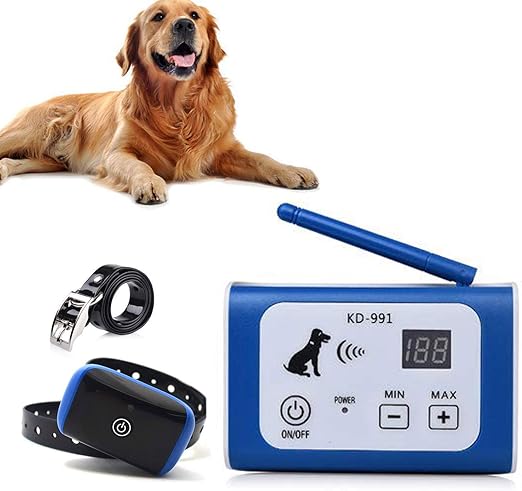 difference between yorkie and yorkshire terrier