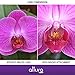 72MM 0.43x Altura Photo Professional HD Wide Angle Lens (w/ Macro Portion)
