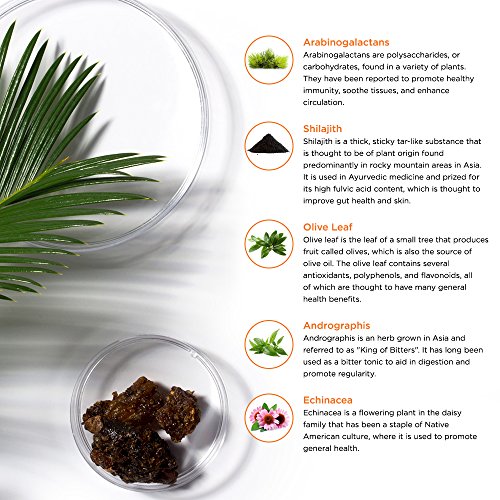 Life-Seasons-Immuni-T-Immune-System-Booster-Supplement-Defend-Against-Cold-and-Flu-Stimulate-Production-of-White-Blood-Cells-Rapid-Immune-Response-Andrographis-Echinacea-90-Capsules