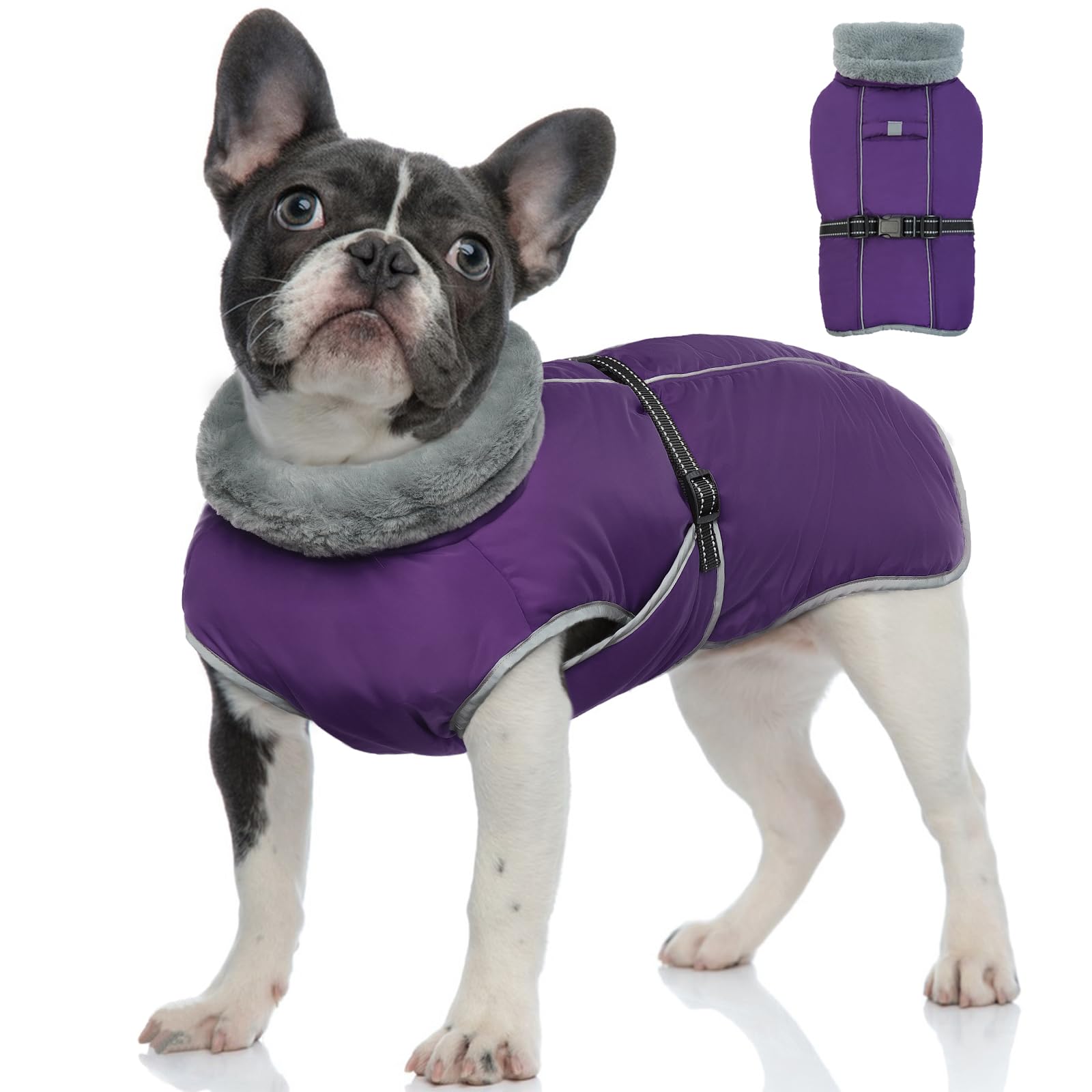 OUOBOB Small Dog Winter Coat, Waterproof Jacket, Reflective Warm Snow Coat with Fleece Lining, Windproof Adjustable Dog Snowsuit in Purple